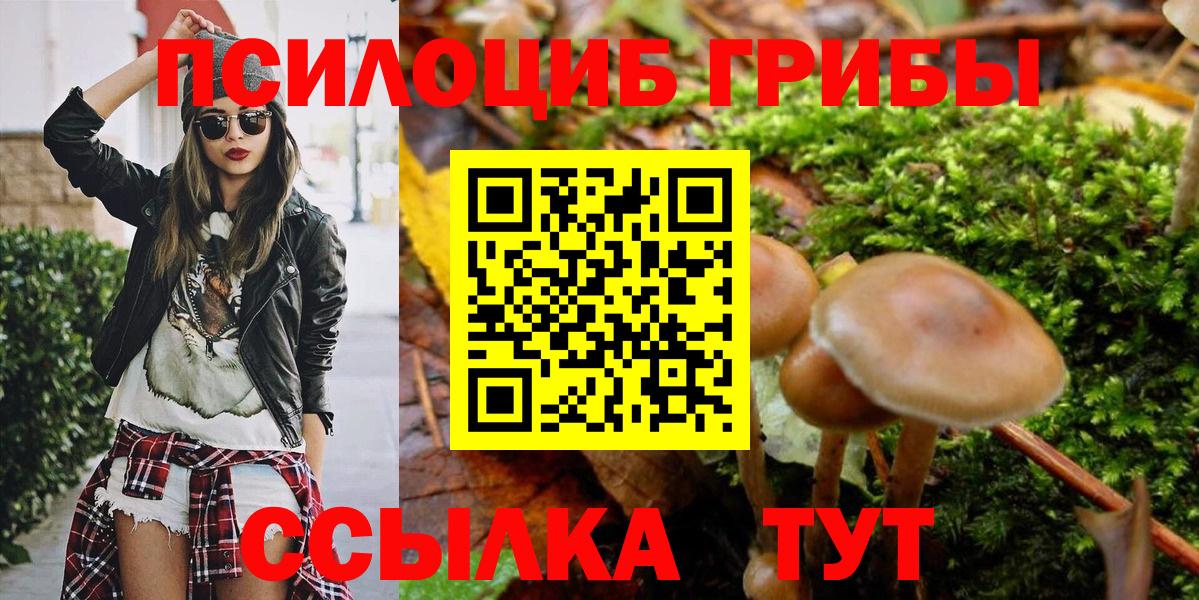 Галлюциногенные грибы ЛСД Мценск