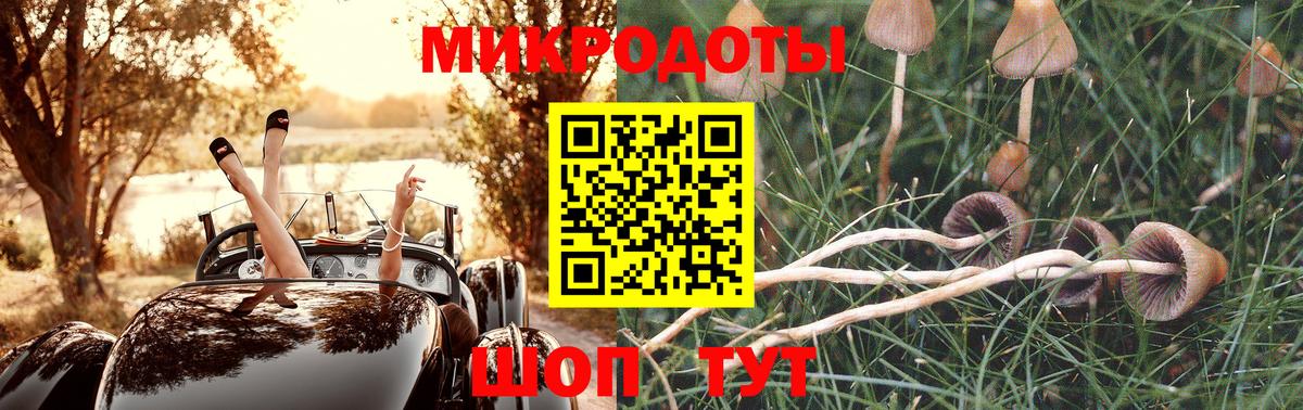 Галлюциногенные грибы GOLDEN TEACHER  Вход с VPN  магазин  наркотиков  Псилоцибиновые грибы ЛСД  Мценск 